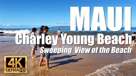 charlie young beach webcam|Watch a panoramic view of the surf and people at Charley Young .